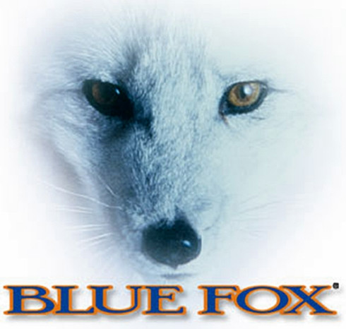 BLUE FOX